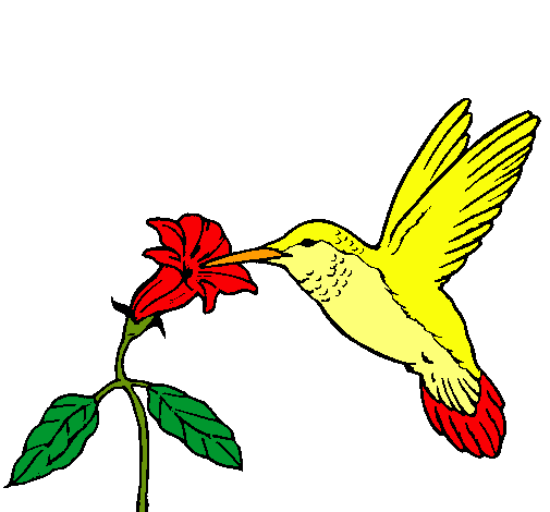 Dibujo Colibrí y una flor pintado por Elys