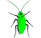 Dibujo Cucaracha grande pintado por javierito