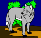 Dibujo Lobo pintado por ranses