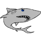 Dibujo Tiburón pintado por luison