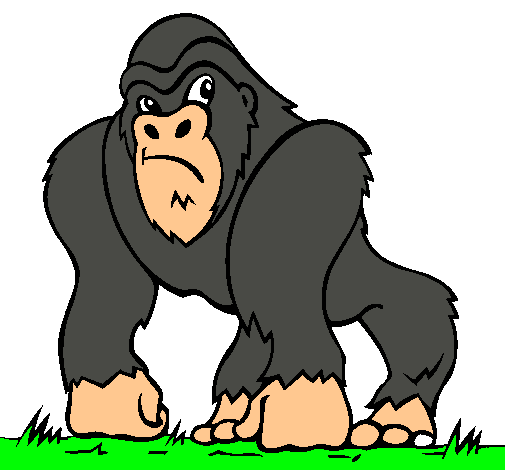 Dibujo Gorila pintado por lizandy