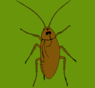 Dibujo Cucaracha grande pintado por genesis19