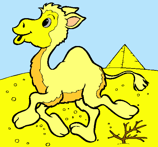 Dibujo Camello pintado por majopedro