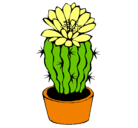 Dibujo Cactus con flor pintado por ccccccak