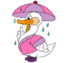 Dibujo Pato bajo la lluvia pintado por yopis