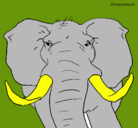 Dibujo Elefante africano pintado por lizandy