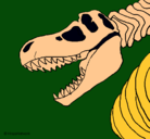 Dibujo Esqueleto tiranosaurio rex pintado por perrito