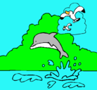 Dibujo Delfín y gaviota pintado por danita