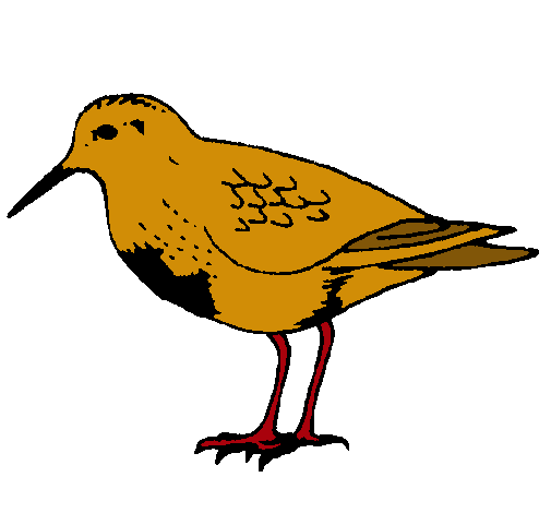 Dibujo Pájaro pintado por LUCILA