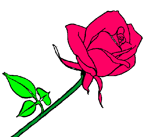 Dibujo Rosa pintado por motita