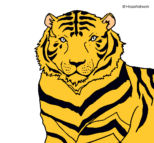 Dibujo Tigre pintado por agustina_rossi
