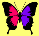 Dibujo Mariposa con alas negras pintado por paquia
