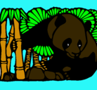 Dibujo Oso panda y bambú pintado por paolas