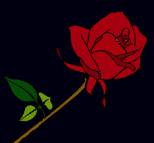 Dibujo Rosa pintado por patrifeVer