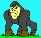 Dibujo Gorila pintado por misael