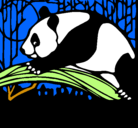 Dibujo Oso panda comiendo pintado por vale06