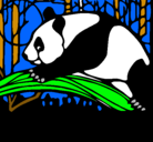 Dibujo Oso panda comiendo pintado por enupi