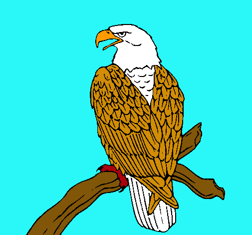 Dibujo Águila en una rama pintado por LUCILA