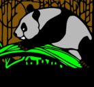 Dibujo Oso panda comiendo pintado por ivanakasandr