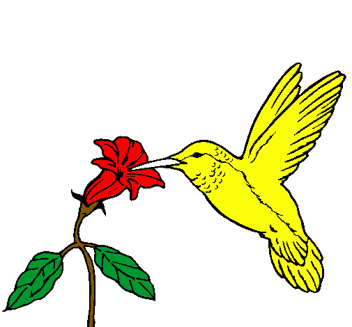 Dibujo Colibrí y una flor pintado por dewel