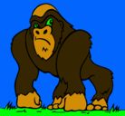 Dibujo Gorila pintado por patamon