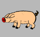 Dibujo Cerdo con pezuñas negras pintado por jhoan