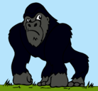Dibujo Gorila pintado por hendrick