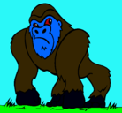 Dibujo Gorila pintado por thorr