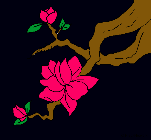 Dibujo Flor de almendro pintado por Kougra_sa_8