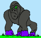 Dibujo Gorila pintado por marcos8000