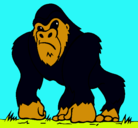 Dibujo Gorila pintado por popoy