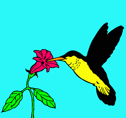 Dibujo Colibrí y una flor pintado por sarablack