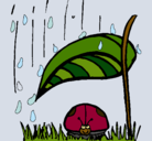 Dibujo Mariquita protegida de la lluvia pintado por danielitha