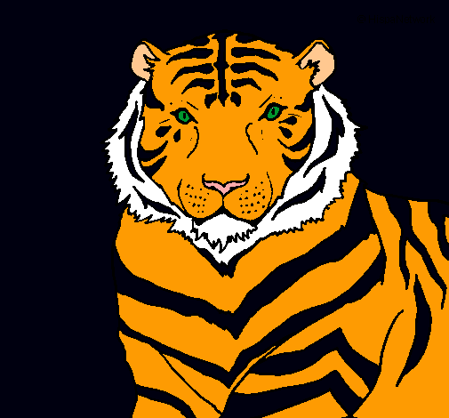 Dibujo Tigre pintado por hestrella