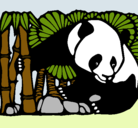 Dibujo Oso panda y bambú pintado por Alive