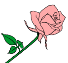 Dibujo Rosa pintado por crcarlos