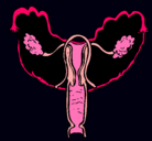 Dibujo Vagina pintado por Loba_love