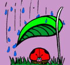 Dibujo Mariquita protegida de la lluvia pintado por elizbeth