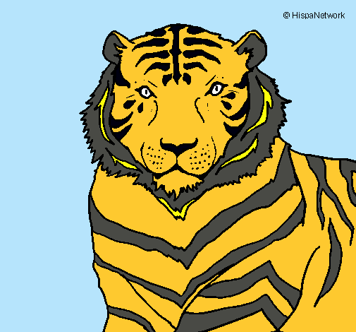 Dibujo Tigre pintado por mayerengifo