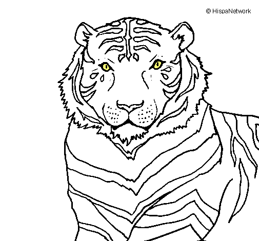 Dibujo Tigre pintado por SELENA57SUI