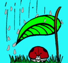 Dibujo Mariquita protegida de la lluvia pintado por aBIEL