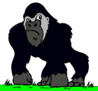 Dibujo Gorila pintado por lenimexy