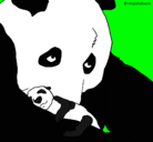 Dibujo Oso panda con su cria pintado por Pandy