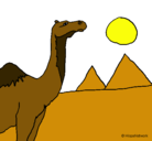 Dibujo Camello pintado por ppopl