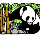 Dibujo Oso panda y bambú pintado por samantaobledo