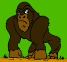 Dibujo Gorila pintado por  edmundo