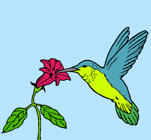 Dibujo Colibrí y una flor pintado por LadronaRk