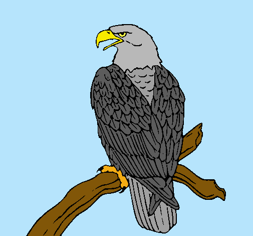 Dibujo Águila en una rama pintado por LadronaRk