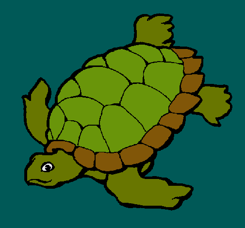 Dibujo Tortuga pintado por Dan12