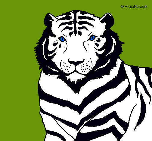 Dibujo Tigre pintado por superruben
